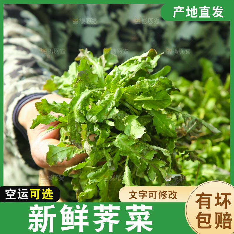 手里拿着地菜