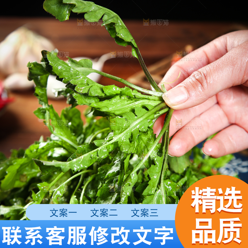 手里拿着地菜