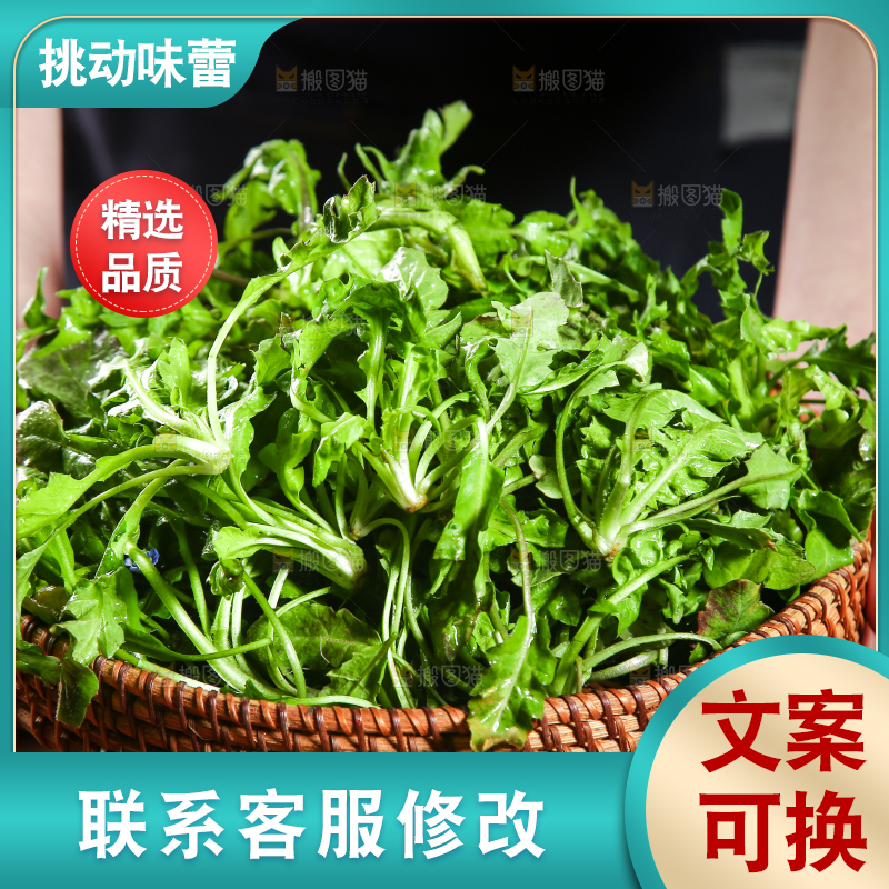 手里端着一篮新鲜地菜