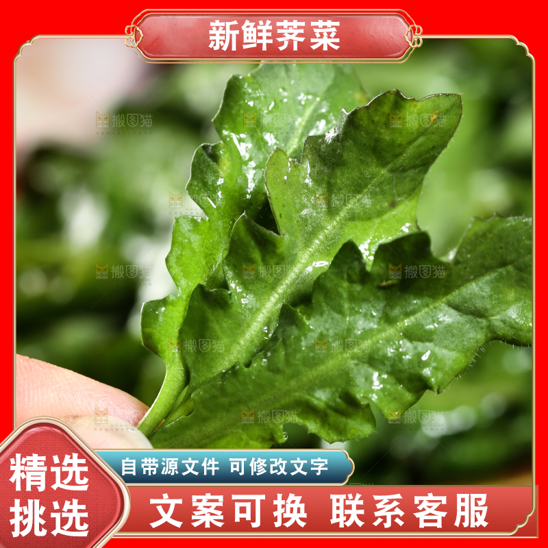 手里拿着地菜