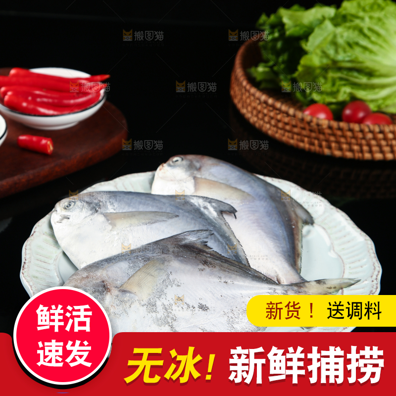黑底上放着一盘海捕银鲳鱼