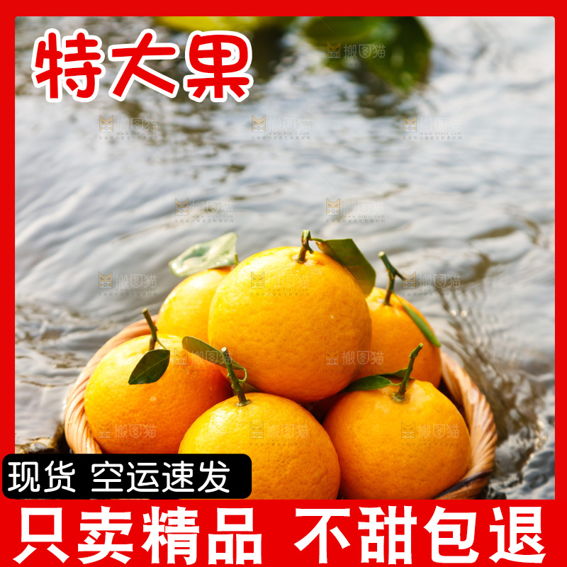 一篮新鲜皇帝柑
