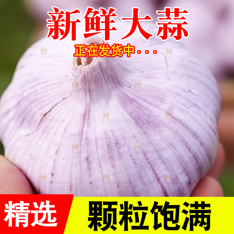 手里拿着大蒜头
