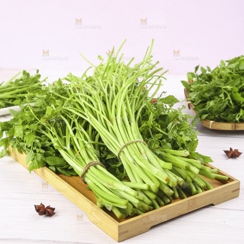 一盘湖南新鲜水芹菜