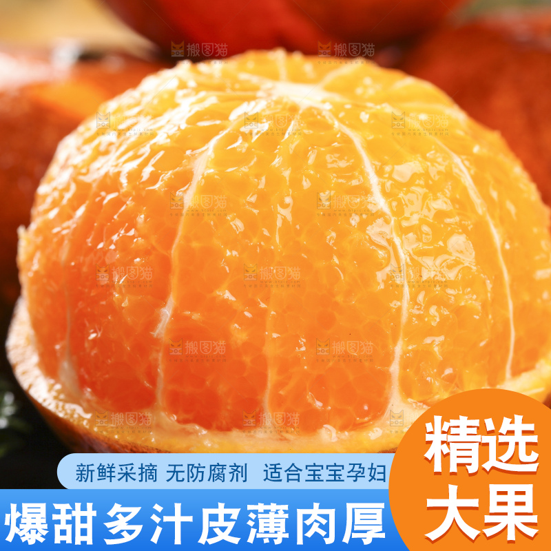 黑底上的云南乌柑