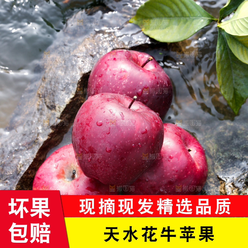 一堆花牛苹果