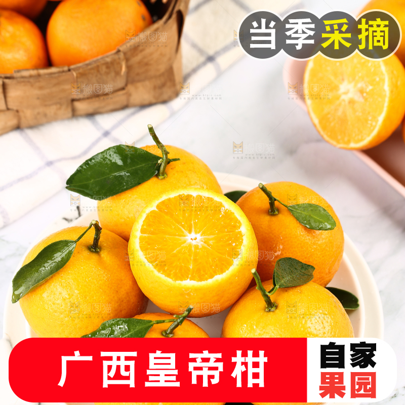 手里拿着皇帝贡柑