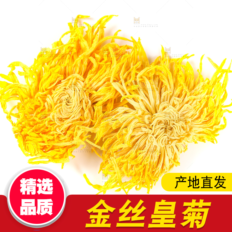 白底上放着金丝皇菊