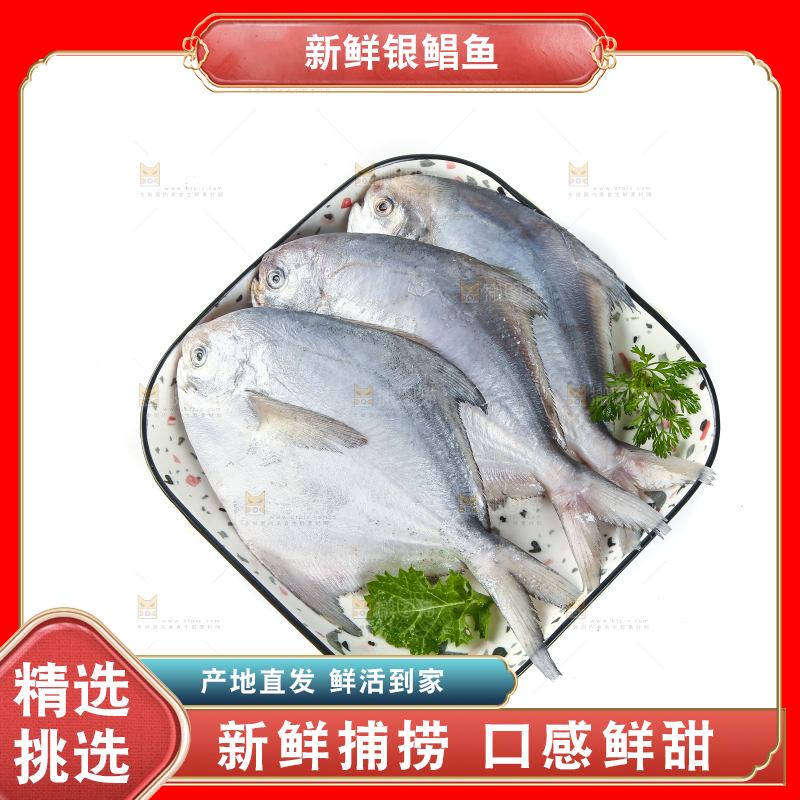 一盘银鲳鱼摆放在白底上