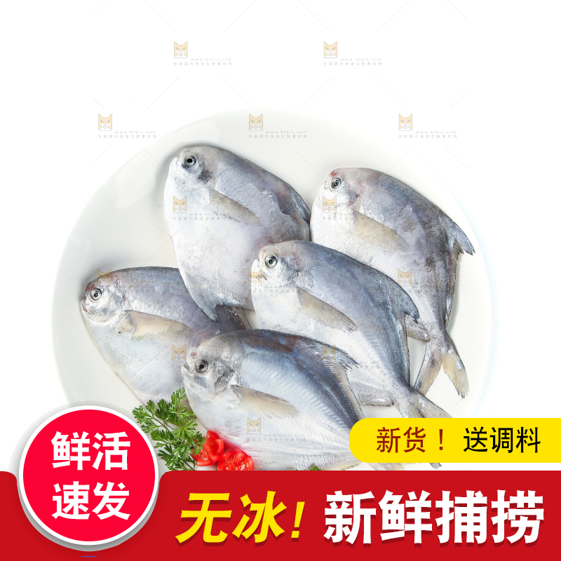 一盘银鲳鱼摆放在白底上