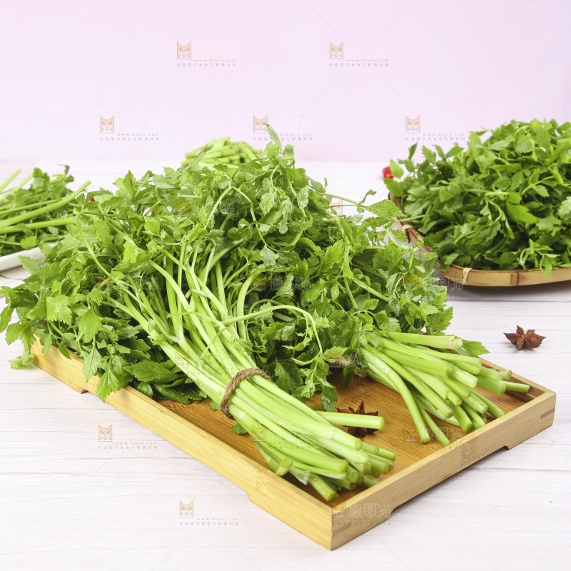 一盘湖南新鲜水芹菜