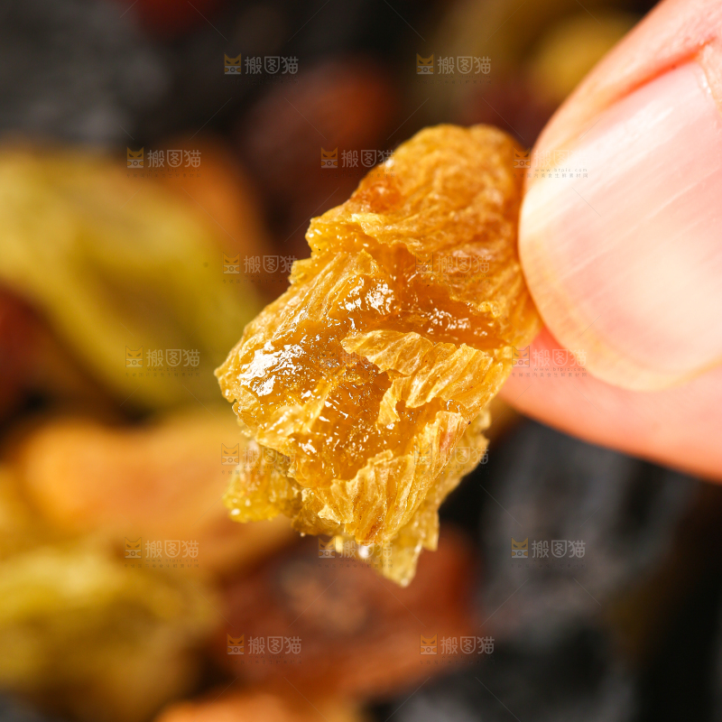 手里拿着树上黄葡萄干