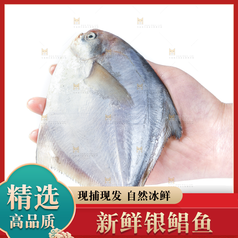 手里拿着鲳鱼