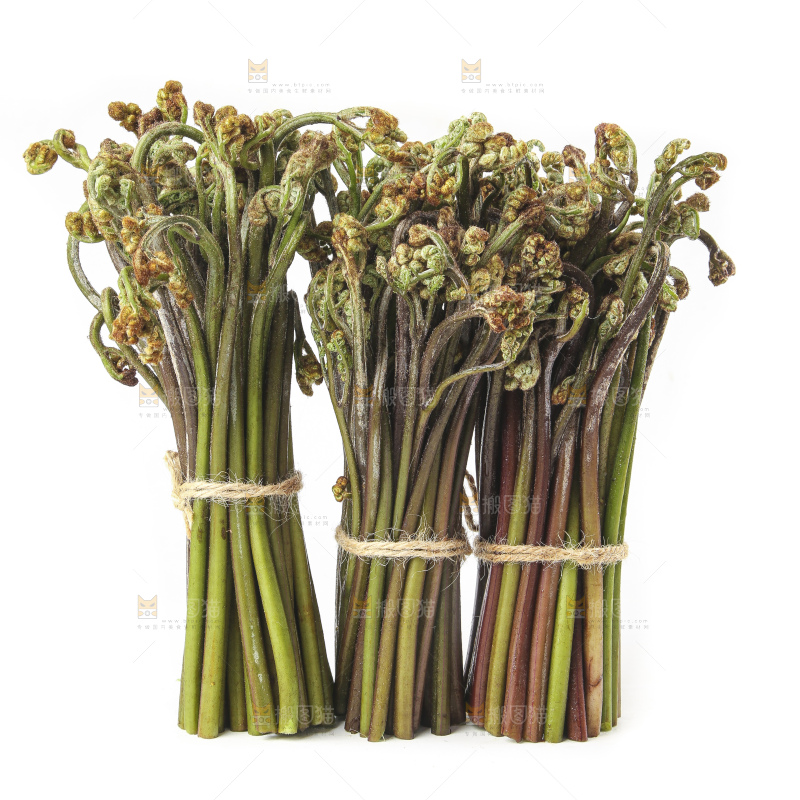 白底上放着野生蕨菜