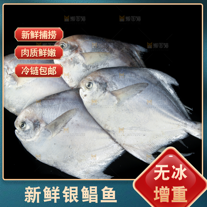 黑底上放着银鲳鱼