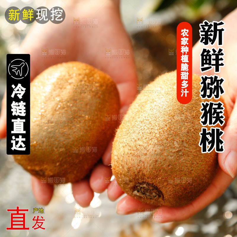 手里拿着猕猴桃