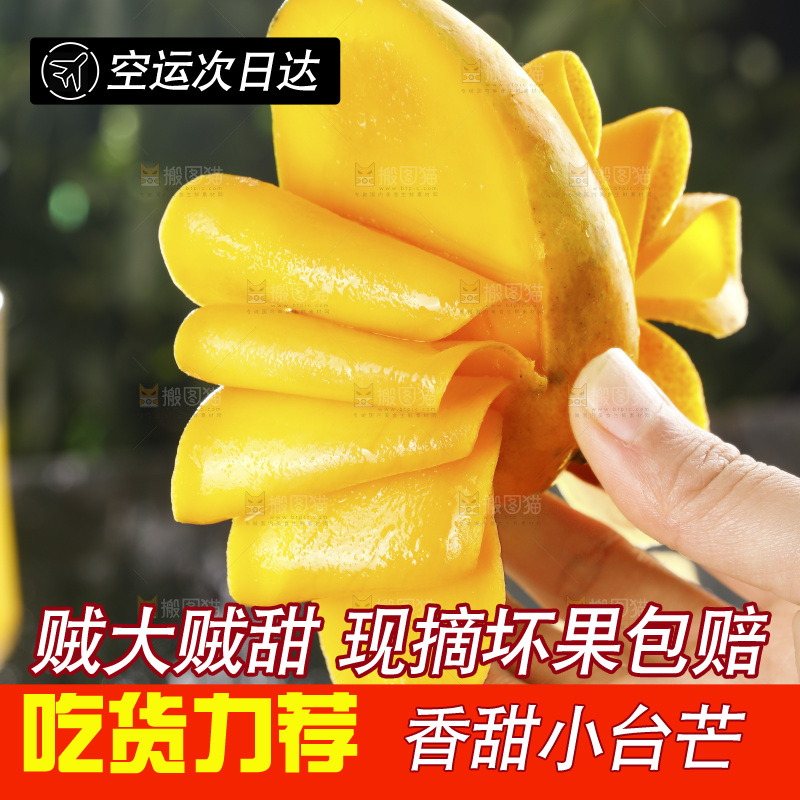 手里拿着切开的小台芒