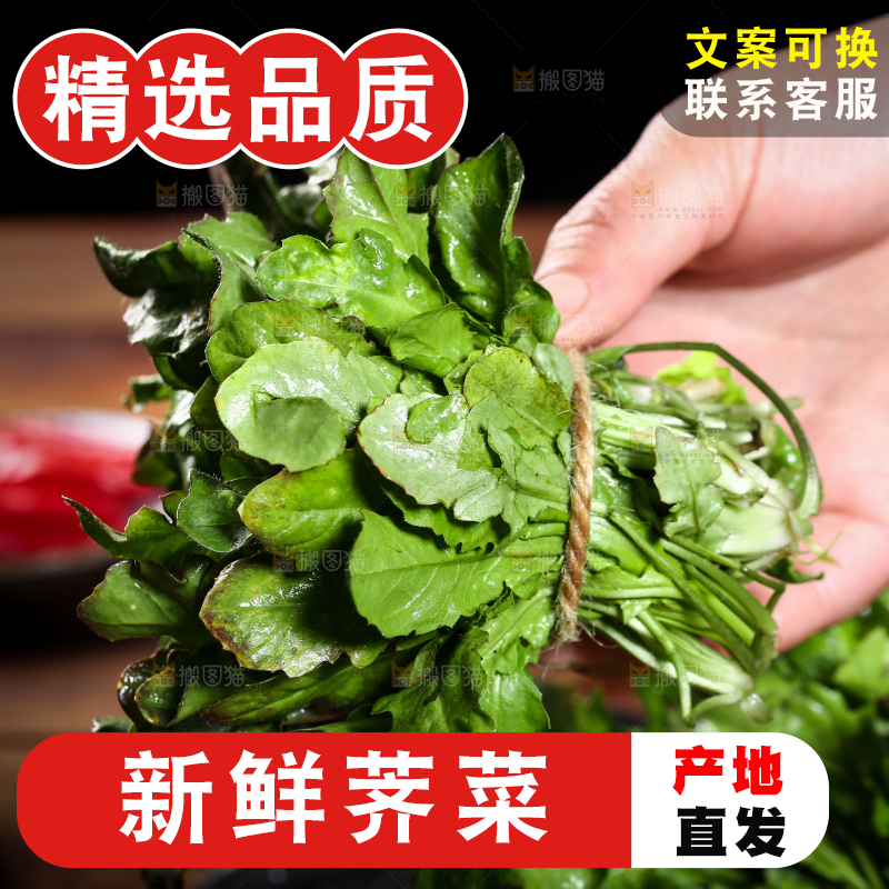 手里拿着地菜