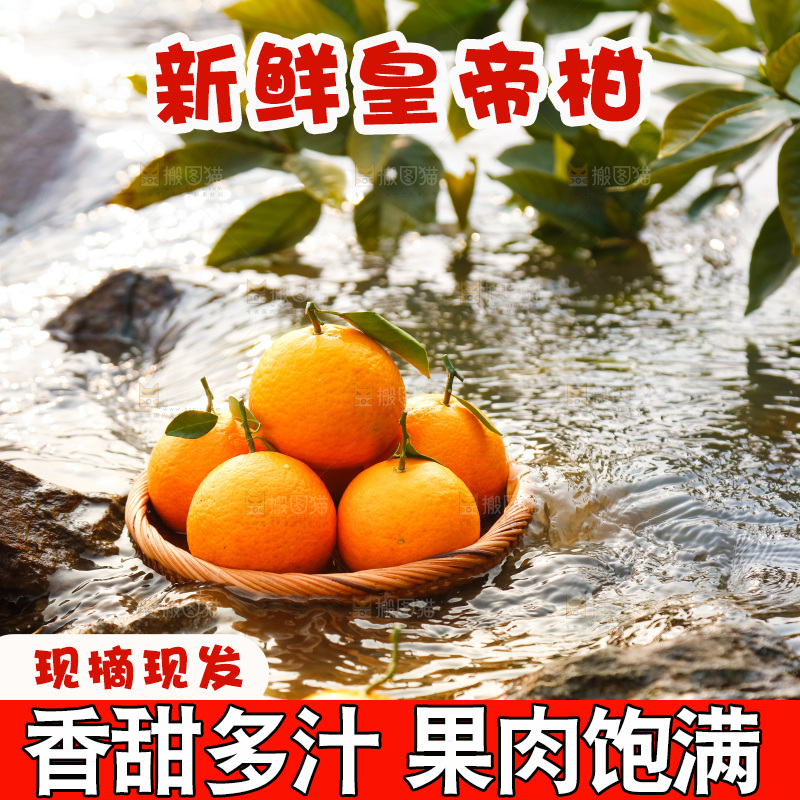一篮新鲜皇帝柑