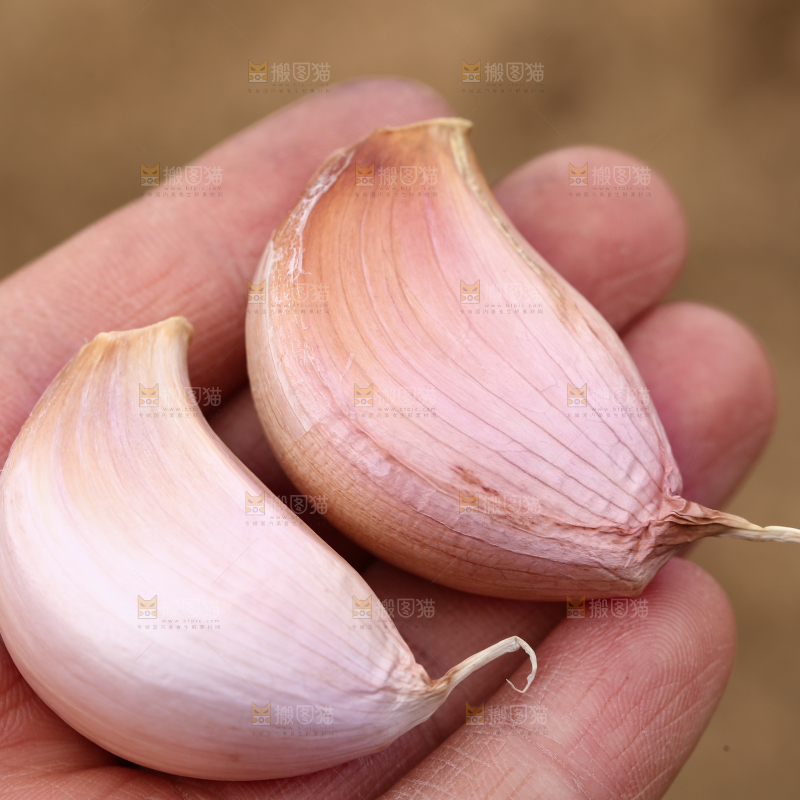 手里拿着蒜瓣