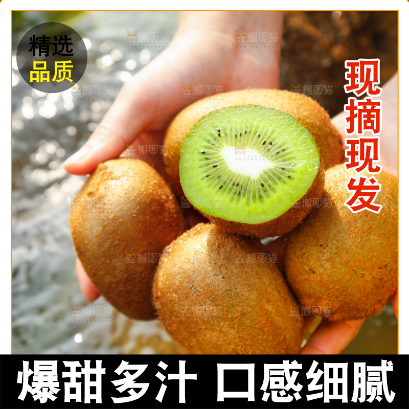 手里捧着徐香绿心猕猴桃