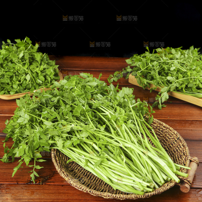 篮子里装着水芹