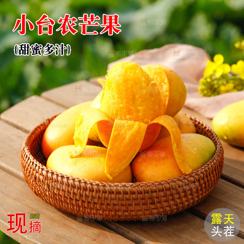 桌子上放着一篮小台农芒果