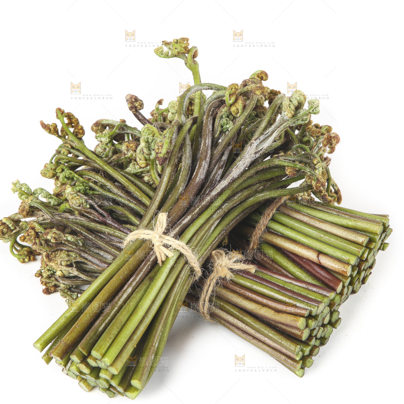 白底上放着野生蕨菜