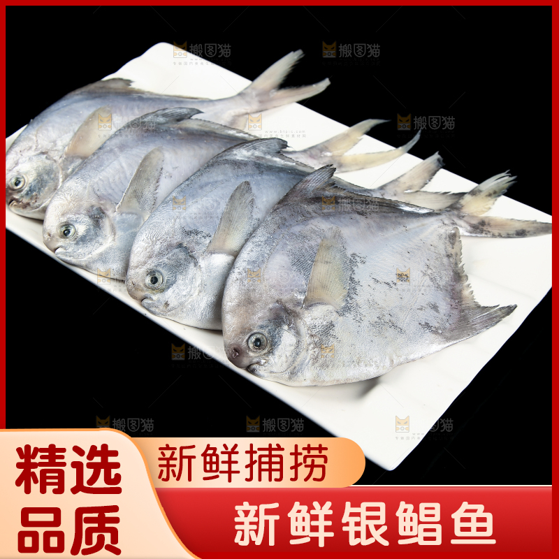 黑底上摆放着一盘舟山银鲳鱼
