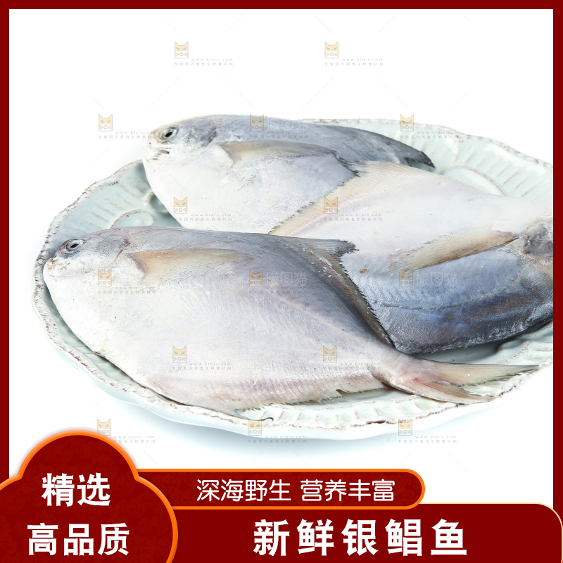一盘银鲳鱼摆放在白底上