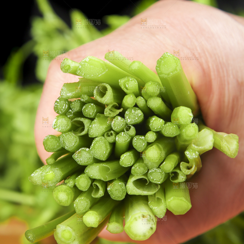 手里拿着野芹菜