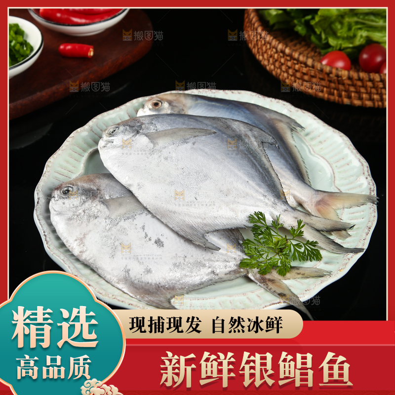 黑底上放着一盘海捕银鲳鱼