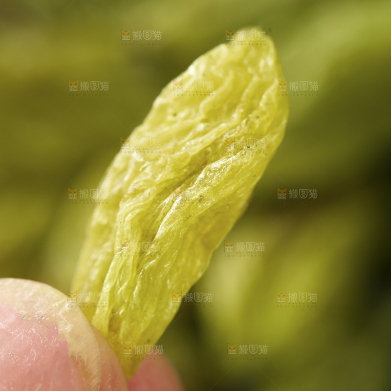 手里拿着绿葡萄干