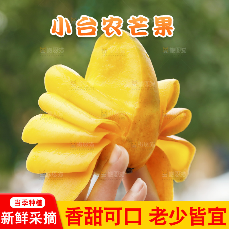 手里拿着切开的小台芒