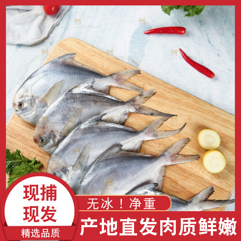 木板上摆放着银鲳鱼