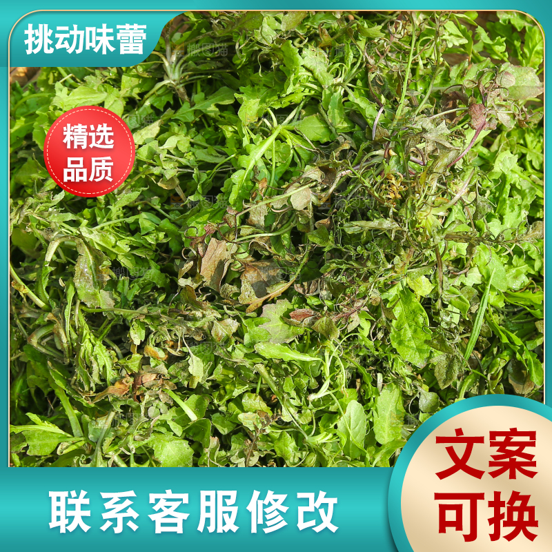 一篮新鲜荠菜