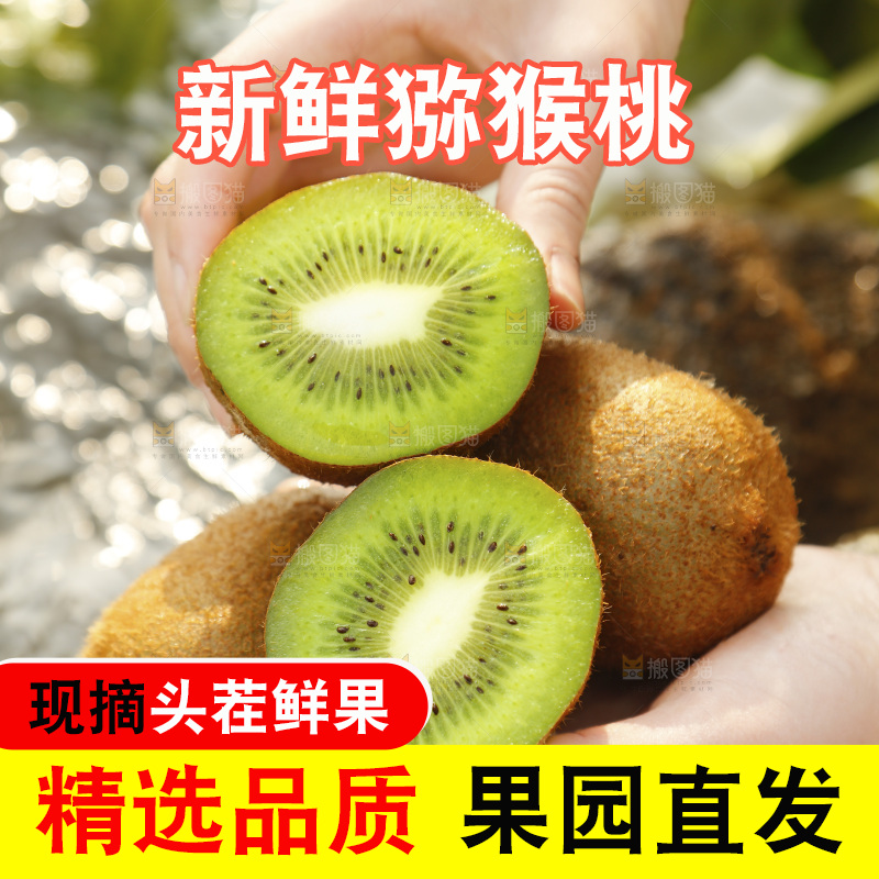 手里捧着徐香绿心猕猴桃