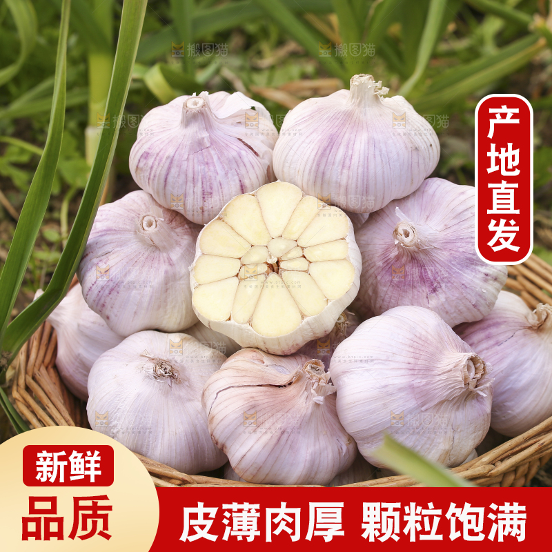 一篮多瓣蒜