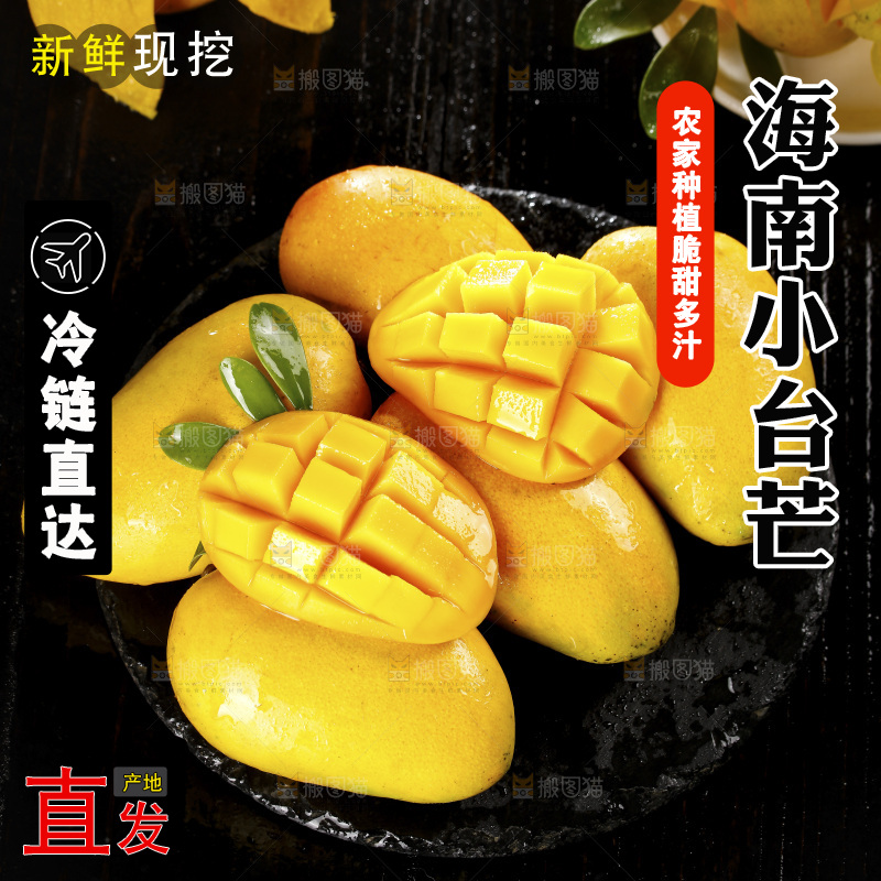 一堆海南小台芒