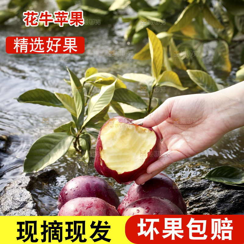 一堆花牛苹果