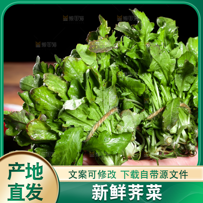 手里拿着地菜
