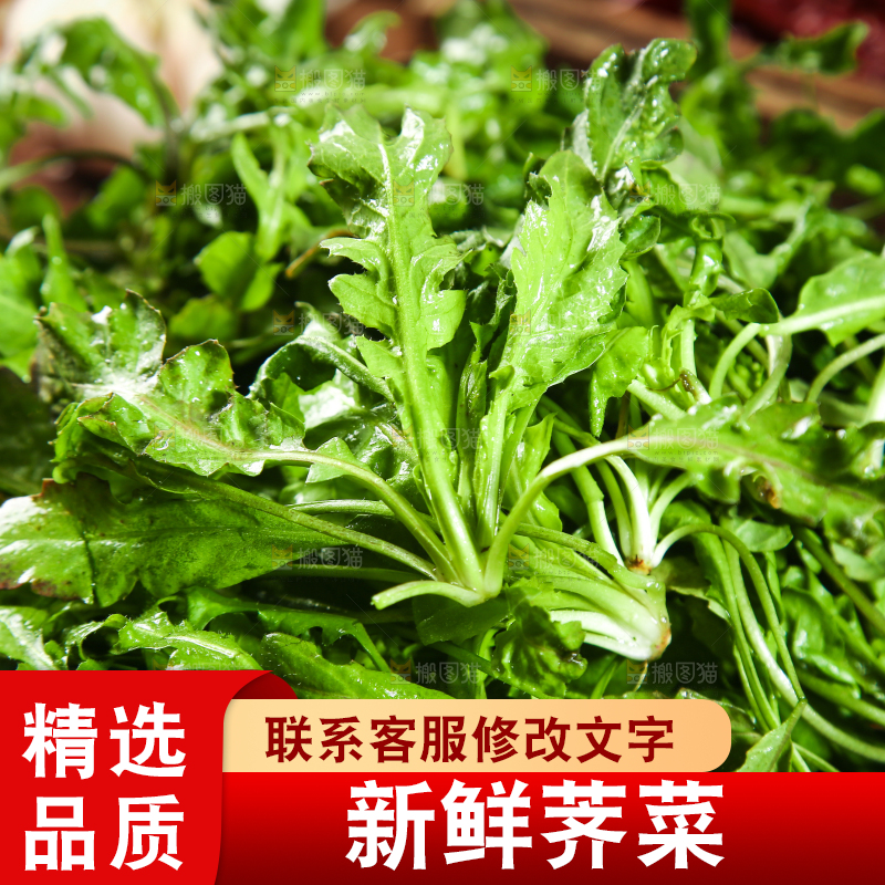案板上放着一篮荠菜