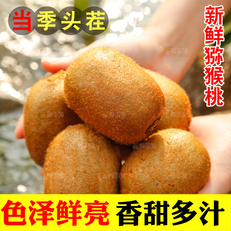 手里捧着徐香绿心猕猴桃