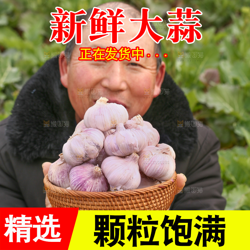 农民手里端着大蒜