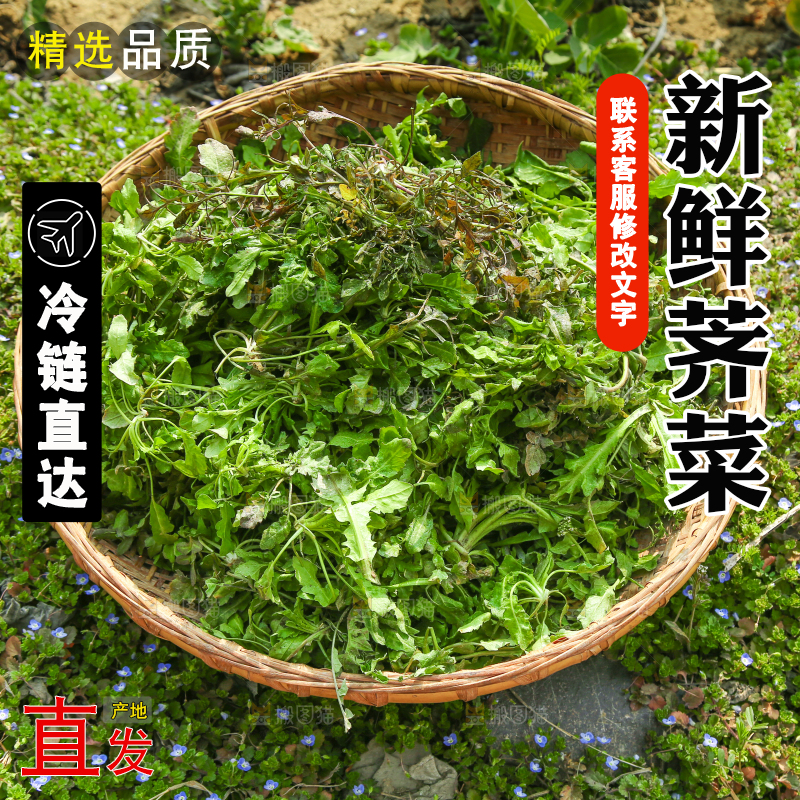 一篮新鲜荠菜