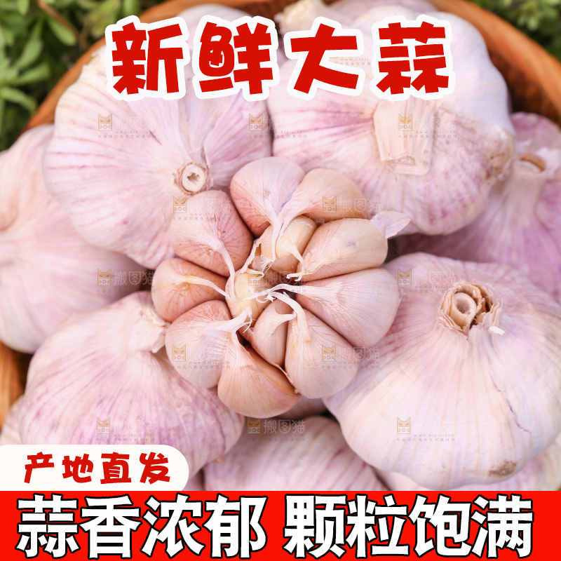 一篮多瓣蒜