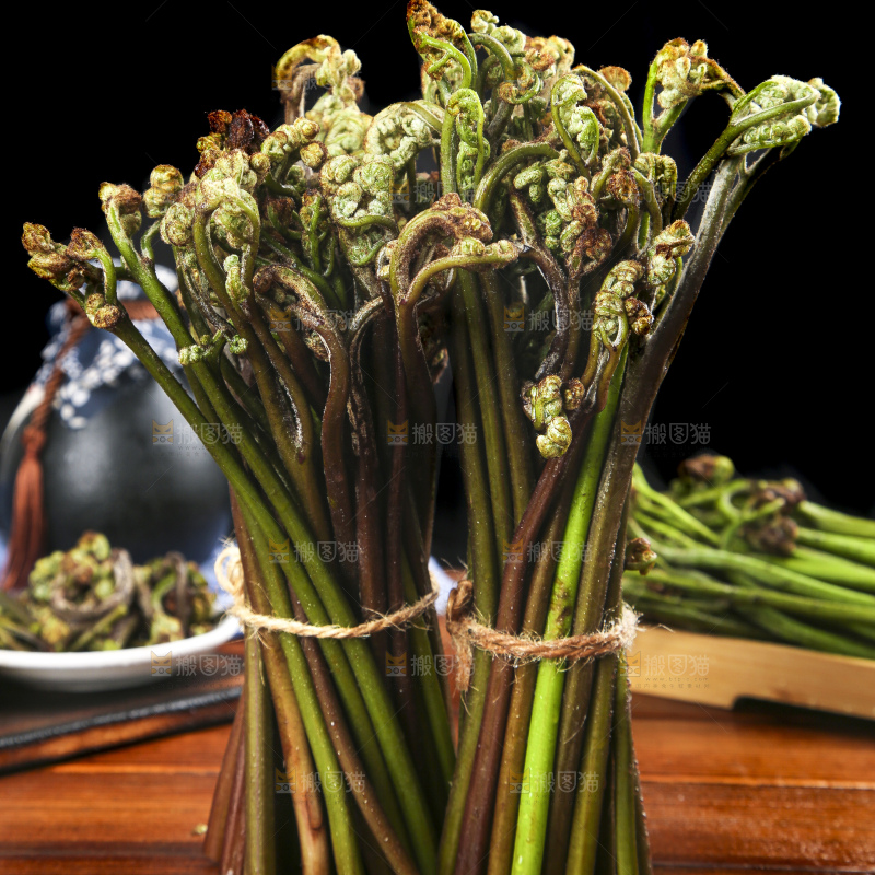 木底上的蕨菜