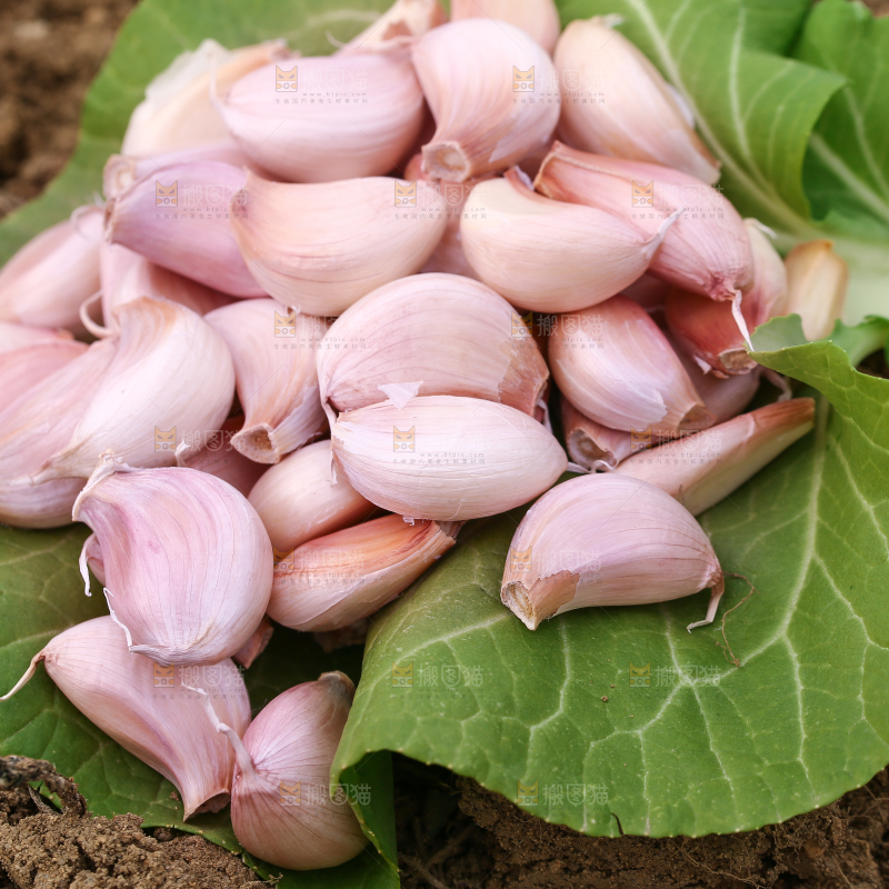 一堆新鲜蒜瓣