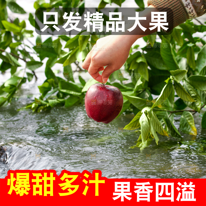 手里捧着花牛苹果
