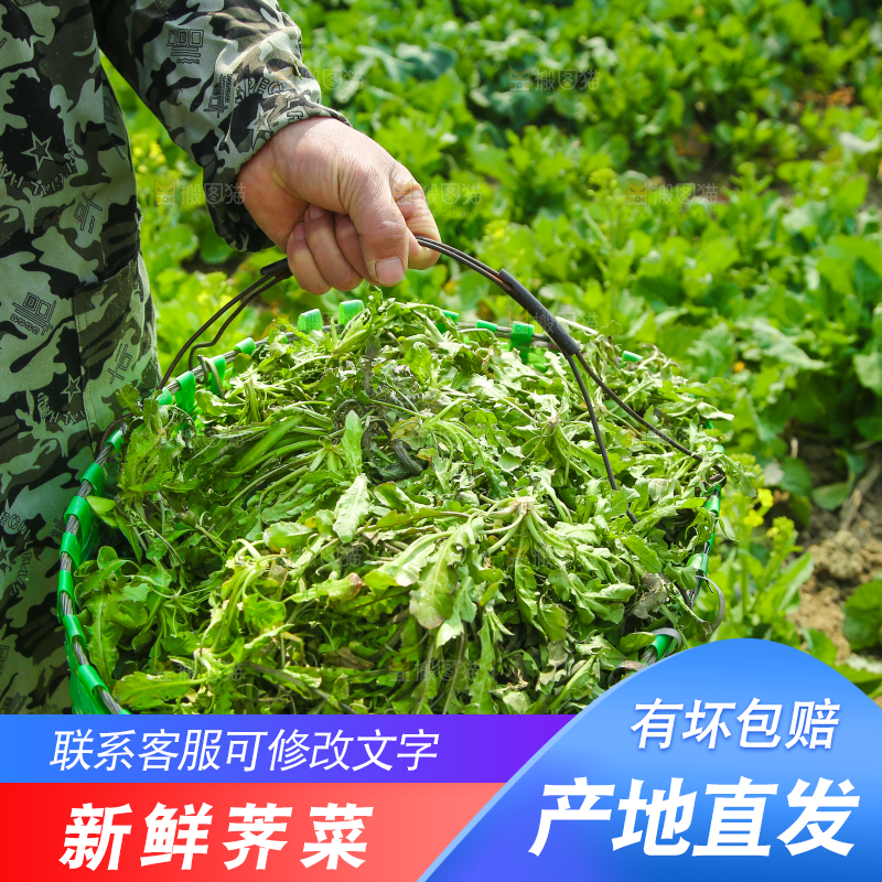 手里提着一篓新鲜地菜